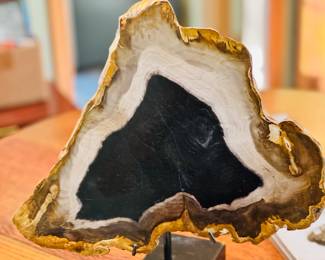 Petrified Wood