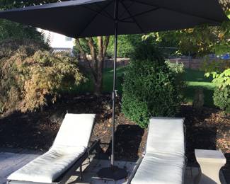 Chaise lounge n umbrella 