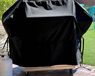 Custom Grill Cover