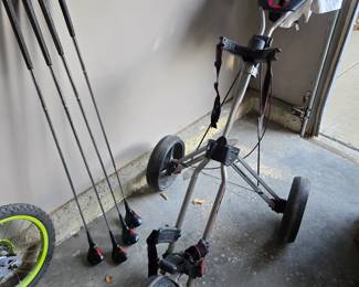 Bag Boy golf caddy