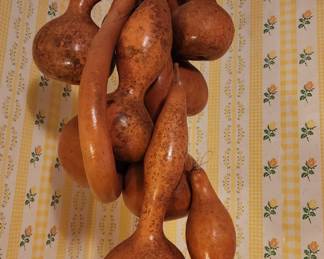 Beautiful Collection of Gourds (There are also single Gourds)