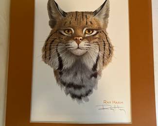 Ray Harm Print