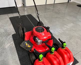 CRAFTSMAN M100 BRIGGS & STRATTON MOWER