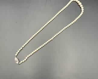 14k White Gold & Pearl Necklace