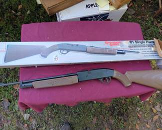 BB Gun