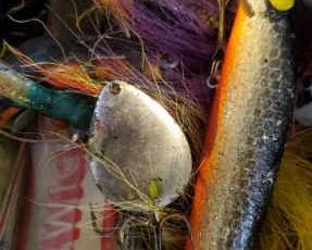 Fishing Mystery Lot