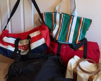 Carry On Collection 5 Bags, Folding Hairdryer with Travel Adapters