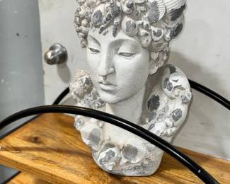 Bust 