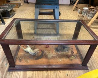 Terrarium