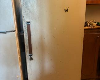 Upright freezer