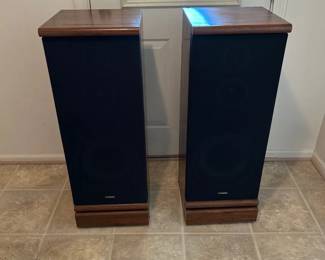 Fisher Audio Floor Standing Speaker Model STV666B