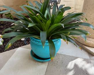 planter