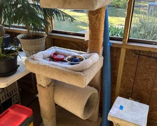 Cat climbing center