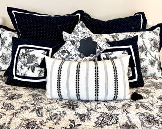 ($40 Queen bedding set includes comforter and 7 pillows. Some marks noted. Priced accordingly) ($6 Black and white lumbar pillow shown in the forefront, one tassel missing)