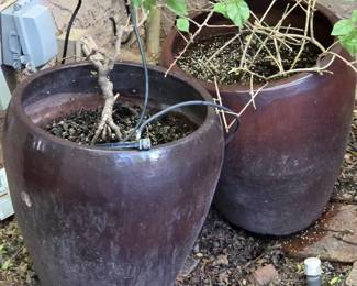 2 Wine  Plum Pots