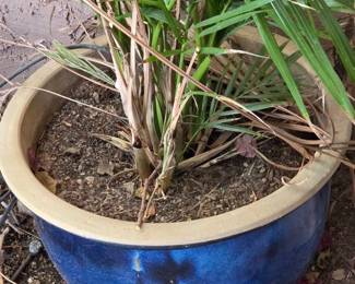 Large Blue Glazed Pot