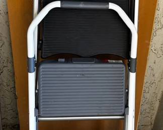 2 Step Ladders