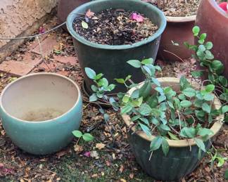 3 Soft Green Glazed Pots