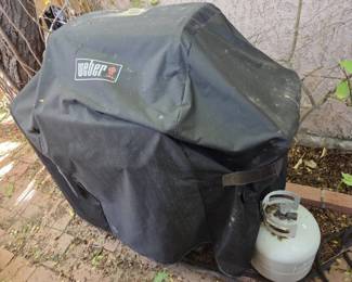 Weber Grill