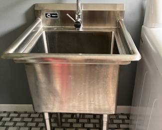 Trinity SS sink and Faucet 