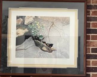 Framed Print by D. J. Cleland-Hura