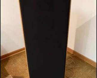 Fisher Floor Speakers