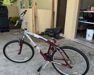 Schwinn Cimarron bike