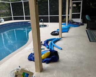 Variety of pool floats