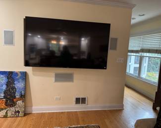 60" Bravia Sony TV 