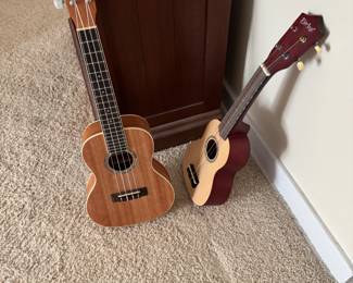 Ukulele - the larger is one has been removed by family 