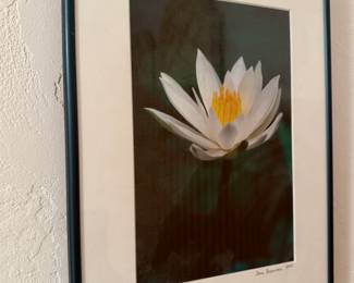 Signed Florida photographic art