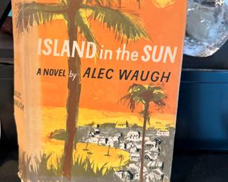 Vintage novel