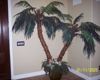 Indoor Silk Palm tree. We have 3 for sale. Very nice.