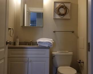Bath vanity; mirror; vanity light; toilet