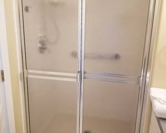 Glass shower doors