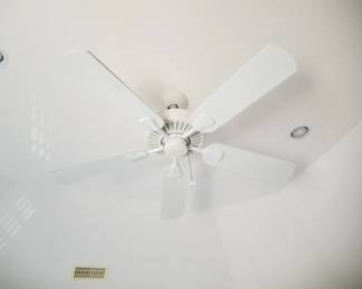 Ceiling fan