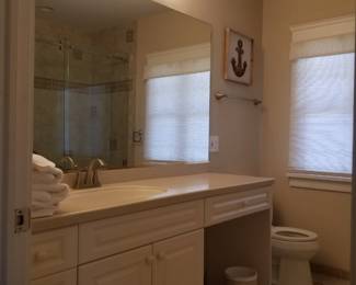 Bath vanity; mirror; vanity light; toilet