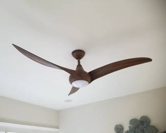 Lighted ceiling fan