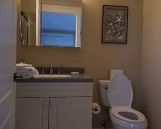 Bath vanity; mirror; vanity light; toilet