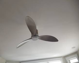 Lighted ceiling fan