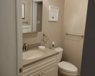 Bath vanity; mirror; vanity light