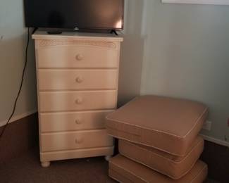 5-drawer dresser; TV. Cushions go with sleeper sofa