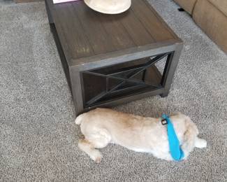Coffee table