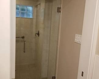Glass shower door