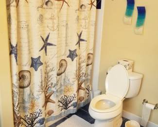 Shower curtain; toilet
