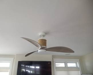 Fabulous ceiling fan