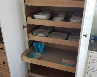 Pull-out shelves