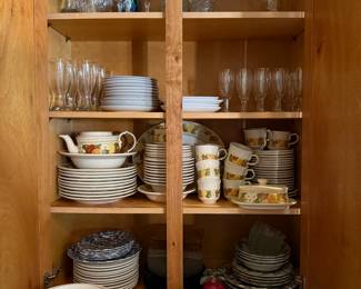 Dish setd