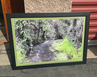 Framed Photograph Print, Stream in Lush Forest