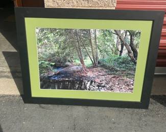 Framed Woodland Stream Photograph Print